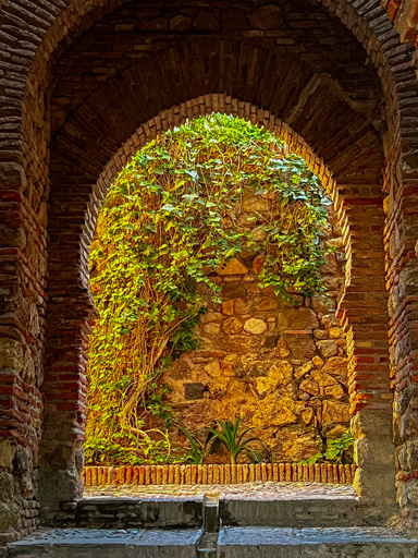 Keyhole Door an Vines in Alcazaba Malaga